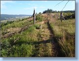 Foto: P7150407